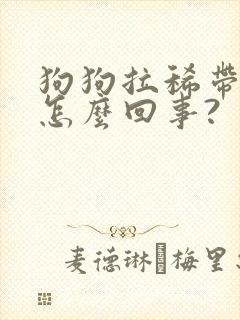狗狗拉稀带血是怎么回事?封面