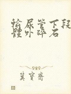 输尿管下段结石体外碎石