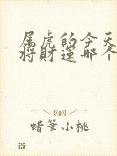 属虎的今天打麻将财运哪个方向