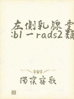 左侧乳腺囊结节:b1一rads2类封面