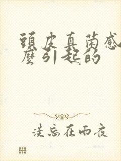 头皮真菌感染怎么引起的封面