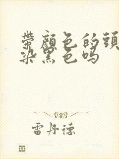 带颜色的头发能染黑色吗