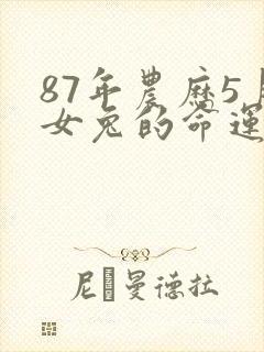 87年农历5月女兔的命运