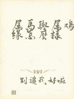 属马与属鸡的姻缘怎么样