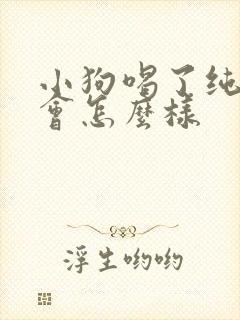 小狗喝了纯牛奶会怎么样