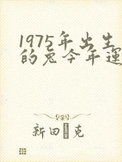 1975年出生的兔今年运势封面