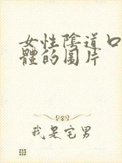 女性阴道口长疣体的图片封面