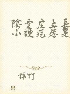 阴囊皮上长了个小硬疙瘩是怎么回事