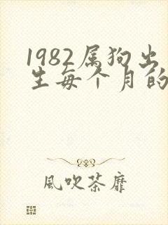 1982属狗出生每个月的命运