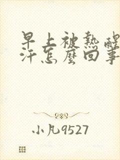 早上被热醒了出汗怎么回事