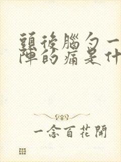 头后脑勺一阵一阵的痛是什么原因