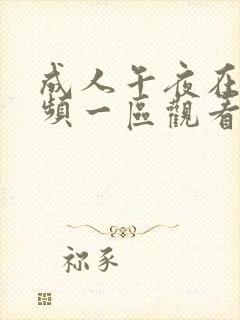 成人午夜在线视频一区观看