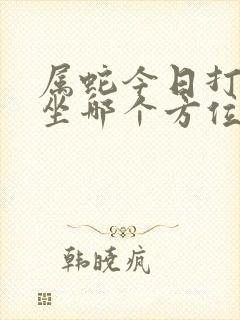 属蛇今日打麻将坐哪个方位好