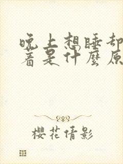 晚上想睡却睡不着是什么原因导致的