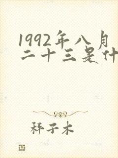 1992年八月二十三是什么命