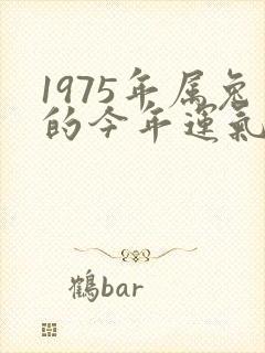 1975年属兔的今年运气如何封面
