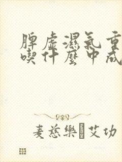 脾虚湿气重肝郁吃什么中成药封面