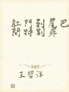 肛门到尾巴骨之间特别疼