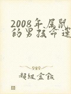 2008年属鼠的男孩命运如何封面