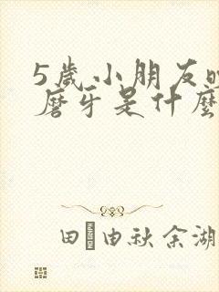 5岁小朋友晚上磨牙是什么原因封面