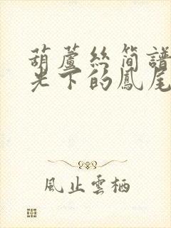 葫芦丝简谱(月光下的凤尾竹)封面