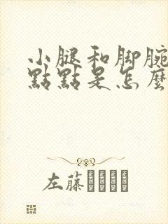 小腿和脚腕有红点点是怎么回事