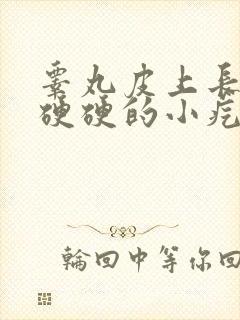 睾丸皮上长一个硬硬的小疙瘩