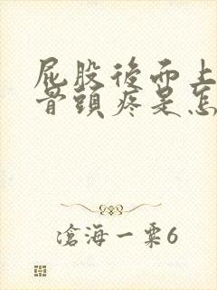 屁股后面上面的骨头疼是怎么回事