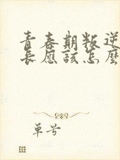 青春期叛逆期家长应该怎么办