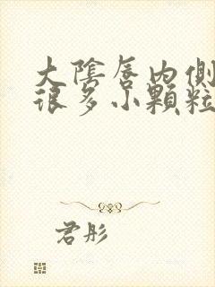 大阴唇内侧长了很多小颗粒怎么回事