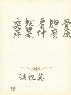 突然肩胛骨后背疼是什么原因引起的