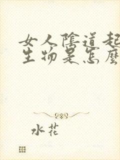 女人阴道起硬赘生物是怎么回事