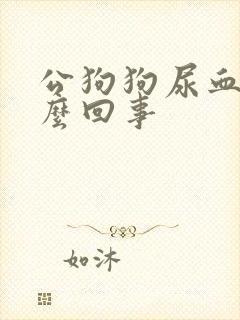 公狗狗尿血是怎么回事