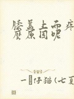 膝盖上面疼是什么原因呢