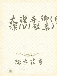 大理寺.卿(双洁1V1破案)封面