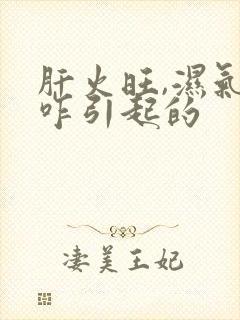 肝火旺,湿气重咋引起的