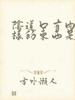 阴道口有肉粒一样的东西是怎么回事