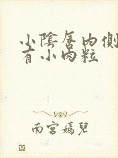 小阴唇内侧皮肤有小肉粒封面