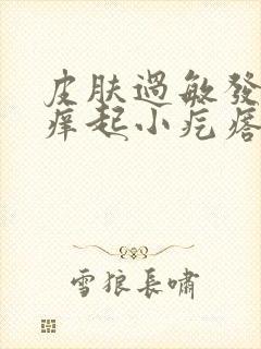 皮肤过敏发红发痒起小疙瘩吃什么药