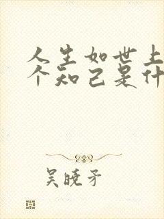 人生如世上有几个知己是什么歌