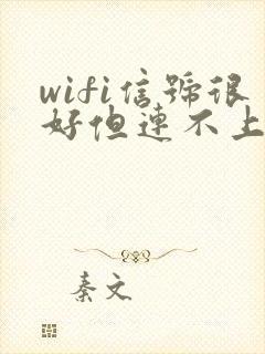 wifi信号很好但连不上网怎么回事