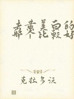 去黄美白的水乳哪个比较好