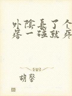 外阴长了个大疙瘩一碰就疼封面