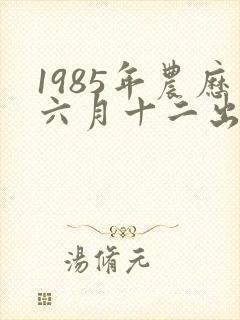 1985年农历六月十二出生是什么命