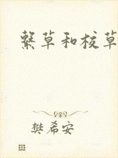 系草和校草封面