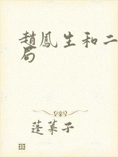 赵凤生和二妮结局封面