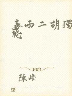 春雨二胡独奏宋飞