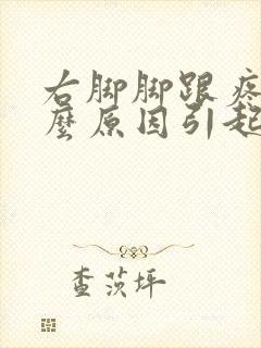 右脚脚跟疼是什么原因引起的