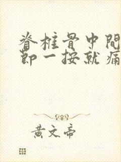 脊椎骨中间有一节一按就痛封面