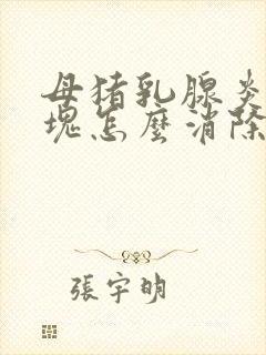 母猪乳腺炎有硬块怎么消除好治疗吗